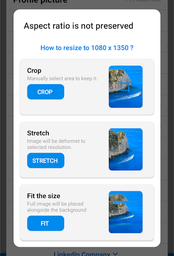 Aspect ratio options in Photo & Picture Resizer app, showing choices like Crop, Stretch, and Fit the size for adjusting an image