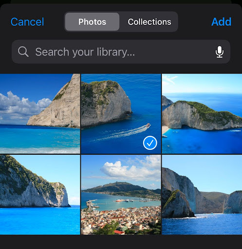 A grid of photos from your phone's camera roll