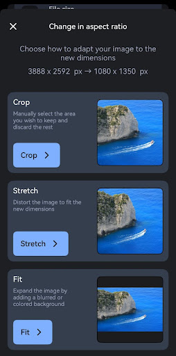 Aspect ratio options in Photo & Picture Resizer app, showing choices like Crop, Stretch, and Fit for adjusting an image