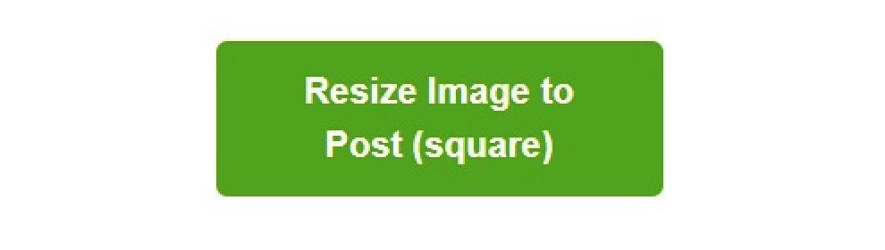 How to resize an image using Image Resizer For Instagram